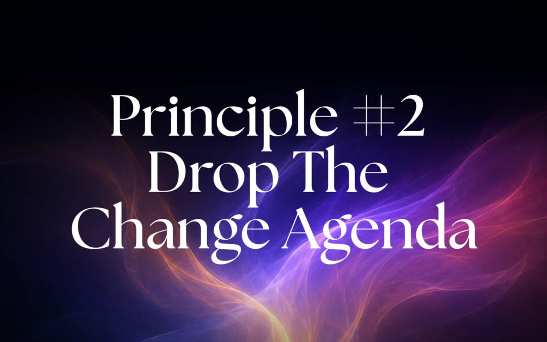 Principle #2 – Drop the Change Agenda