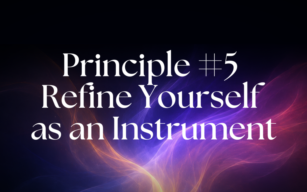 Principle #5 – You Are The Instrument